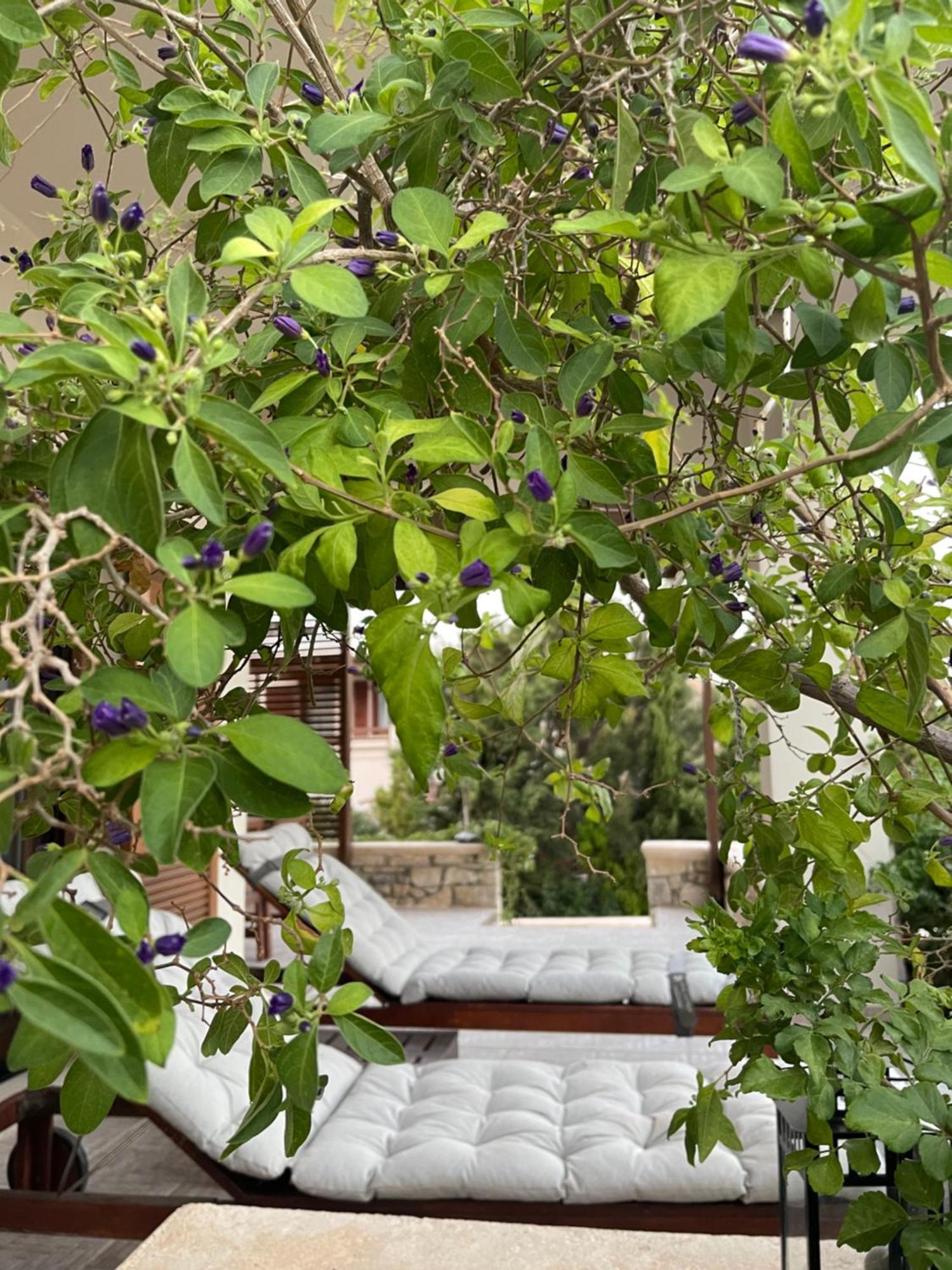 Natica Mare Villas Xerokampos  Ngoại thất bức ảnh
